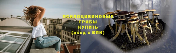 дурь Алексеевка