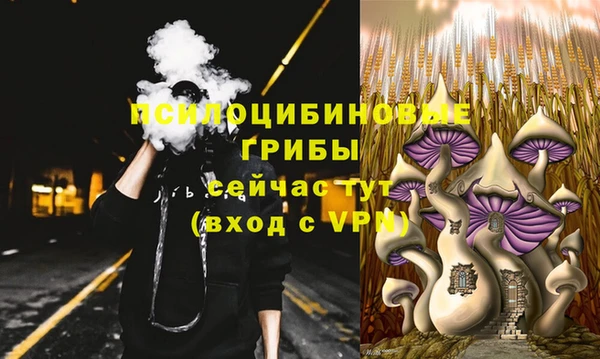 MDMA Premium VHQ Аркадак