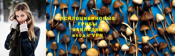 спайс Алексин