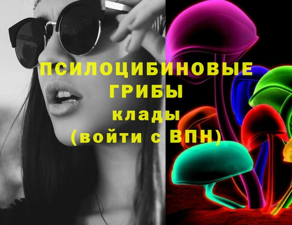 бошки Осташков