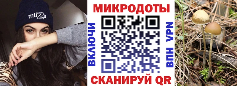 Псилоцибиновые грибы ЛСД Нея