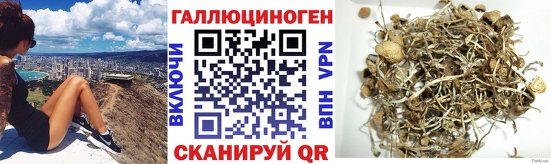 блэк спрут ссылка  Нея  Псилоцибиновые грибы прущие грибы 